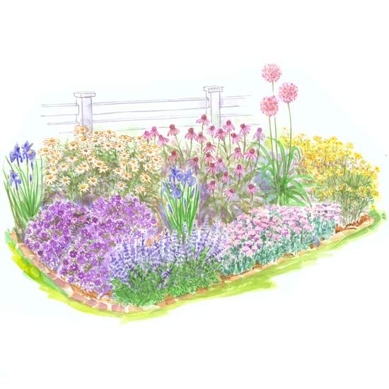Beginner Garden for Full Sun