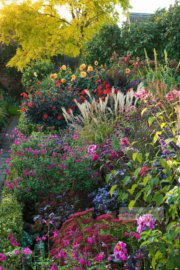 Beautiful plant mix