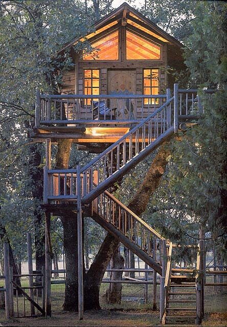 Treehouse
