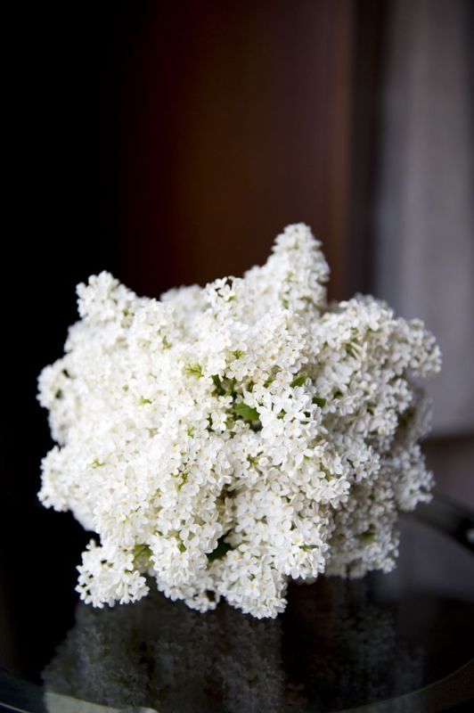 white-lilac-bouquet