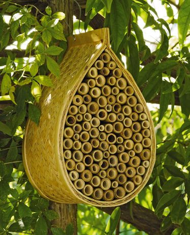 Mason Bee House $18.95 Mason bees do not sting and can visit more blossoms per day than a honeybee, making them a great pollinator for the garden.