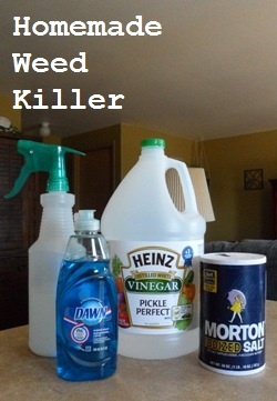 Homemade Weed Killer Here is what you will need: 1 gallon of white vinegar 1/2 cup salt Liquid dish soap (any brand) Empty spray bottle Put salt in the empty spray bottle and fill it the rest of the way up with white vinegar. Add a squirt of liquid dish soap. This solution works best if you use it on a hot day. Spray it on the weeds in the morning, and as it heats up it will do its work.