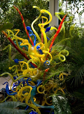 Chihuly