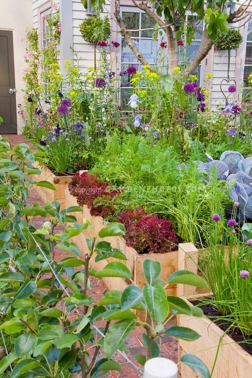 edible landscaping