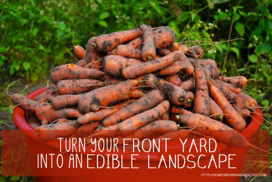 Turn your front yard into an edible landscape — Homegrown & Healthy