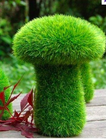 Toadstools to Topiaries, 11 Creative Mushroom projects for your garden