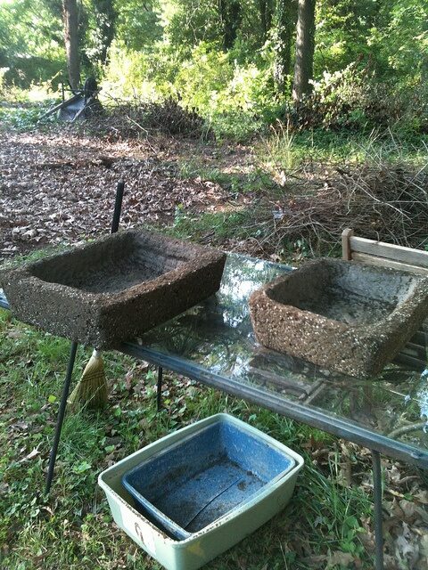 Making Hypertufa Troughs for miniature gardens