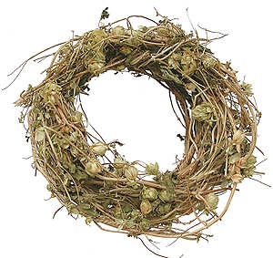 So going to grow HOP VINES this year! :D And make a wreath too. :D