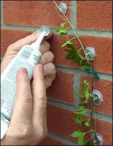 Wall Trellis Kit    This is an ingenious product. With it, you can make a trellis of any shape and put it almost anywhere.  To make a trellis, use the silicone glue to bond a number of the anchors to a wall or window. Next, string the wire from anchor to anchor to create a frame. Finally, use the vinyl tape to support plants on the newly created trellis.
