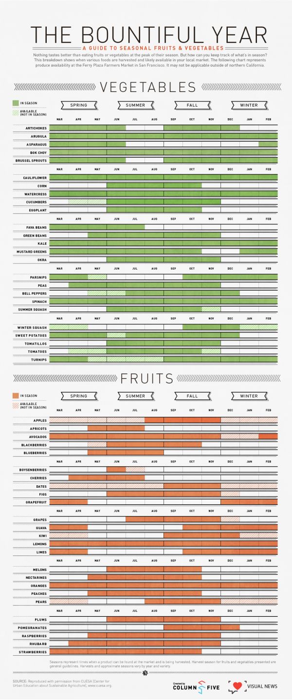 The Bountiful Year: A Visual Guide To Seasonal Produce