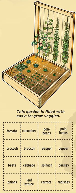 The basic square-foot gardening are: 1. Arrange your garden in squares, not rows. Lay it out in 4′x4′ planting areas. 2. Build boxes to hold…