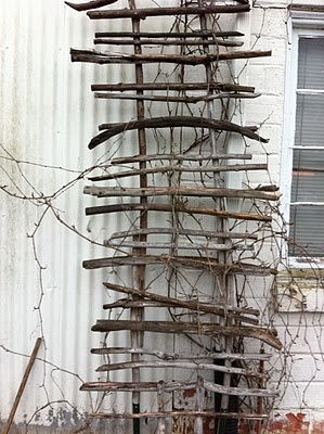 Garden driftwood trellis