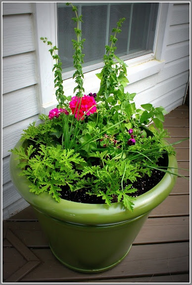 The anti-mosquito planter