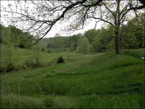 How to Buy Land Very Cheaply  —  Even in this day and age, unwanted land still exists, for those who know how to find it.