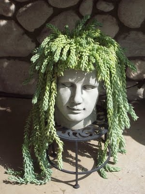 I’ve always loved using found/upcycled pieces for planters. I really adore this!