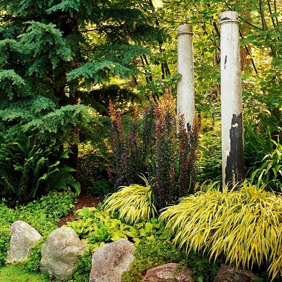 The unique growing habit of Japanese forestgrass makes it ideal for planting underneath taller, upright shrubs such as ‘Hellmond Pillar’ barberry.