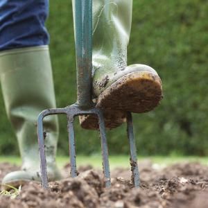 How to Start a Garden