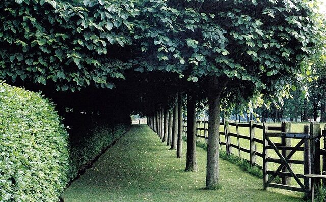 trees, clipped hedges and post and rail fence