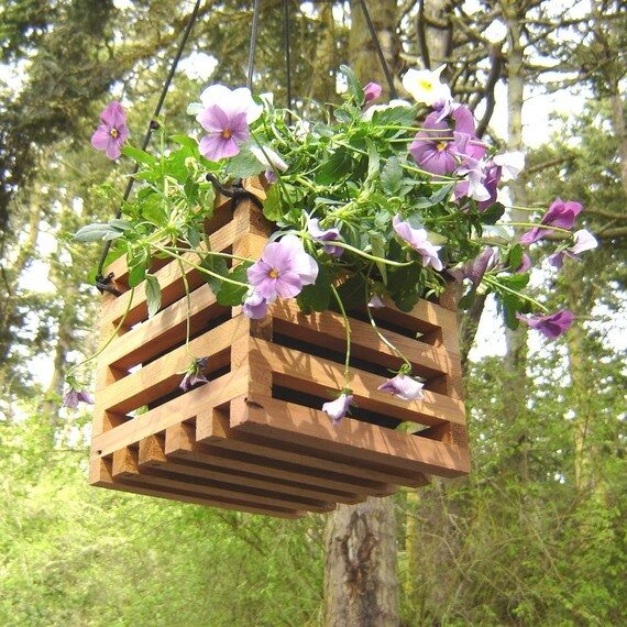 Medicinal Plants to Grow