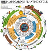 Print: When to plant what.
