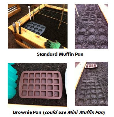 cool idea, use Muffin Tins to mark where seeds should go for even planting, since I can never make a straight line ;)