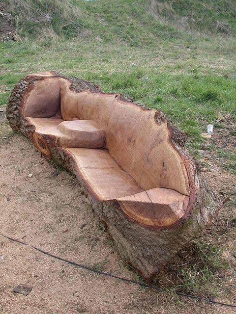 Fallen tree furniture.  We need this around our fire pit!!!!