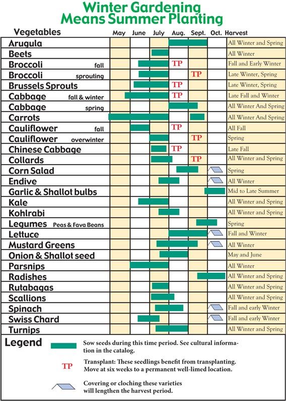 Fall & Winter Growing Guides: Even though the thermometer is reading in the 90’s, it’s never too late to think about fall & winter gardens. Get the most yield out of your garden.