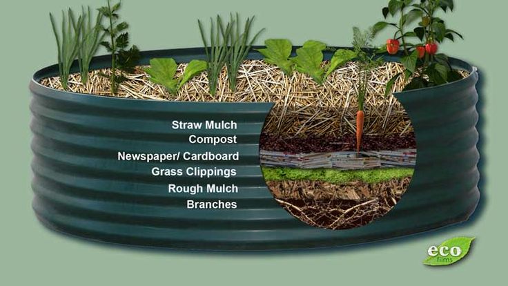 Grow amazing vegetables in raised bed gardens without importing a lot of expensive soil.