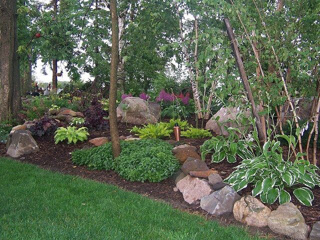 Shade garden