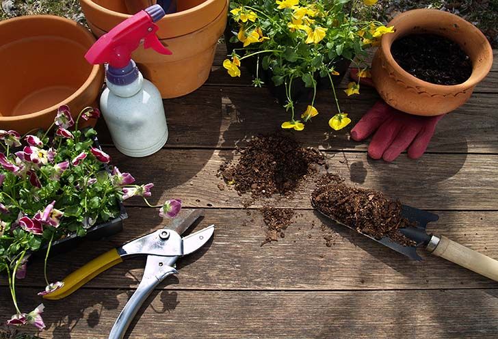 Learn How to Graft Fruit Trees  Fruit trees are an interesting aspect of horticulture because they are unlike almost everything else…