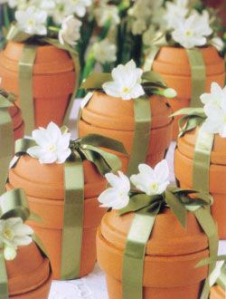 Great ideas for Christmas ~ Packaged Flower Bulbs