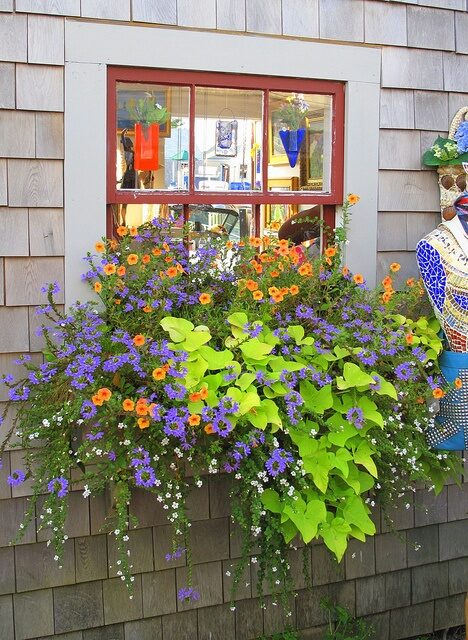 Perfect window box.