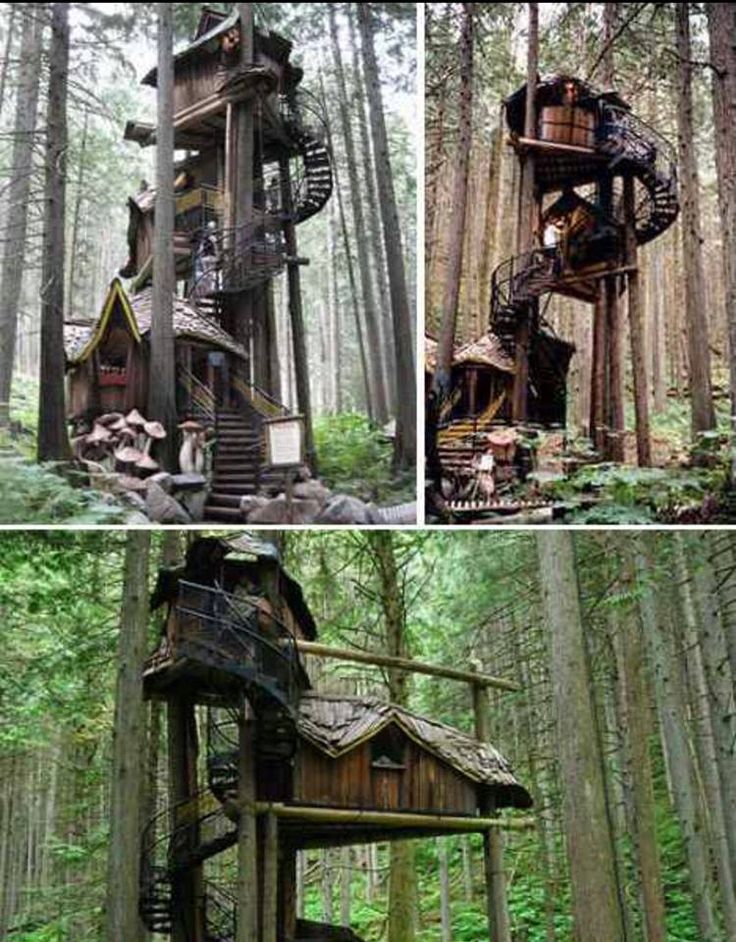 via; Living Off The Grid