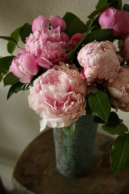 peony
