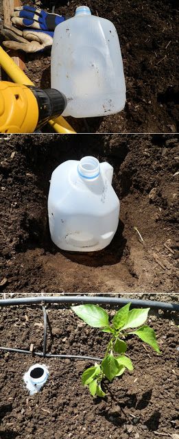 drip watering system
