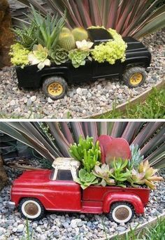 Succulent trucks