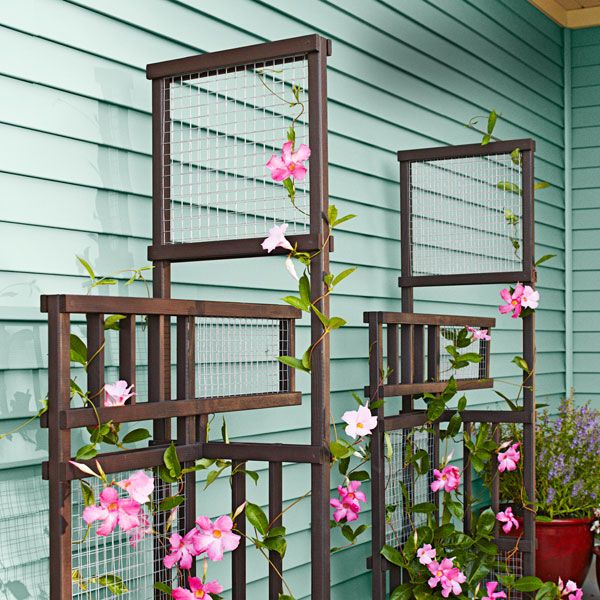 Build a trellis that becomes even more beautiful when intertwined with climbing plants.