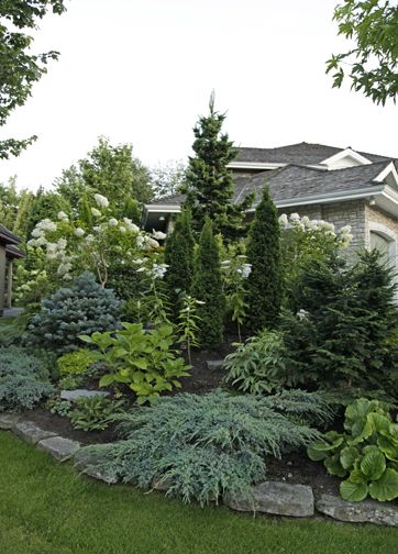 Beautiful display of landscaping with evergreens.