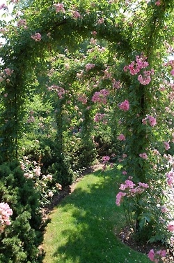 The Garden Aesthetic: Archive totally want this for my future home
