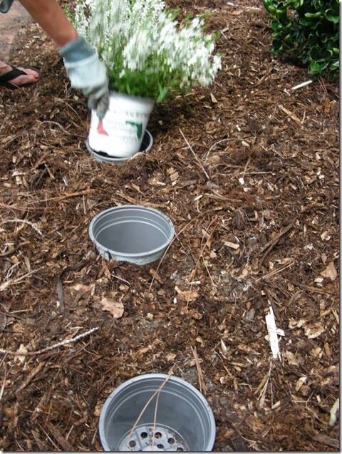 Replace seasonal plants!! (this method is used in many public gardens). Why didn’t I think of this??