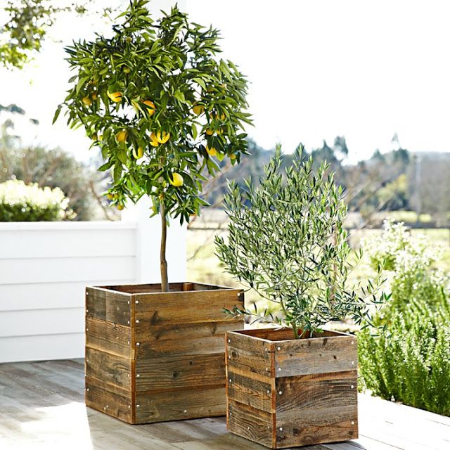 reclaimed square planters
