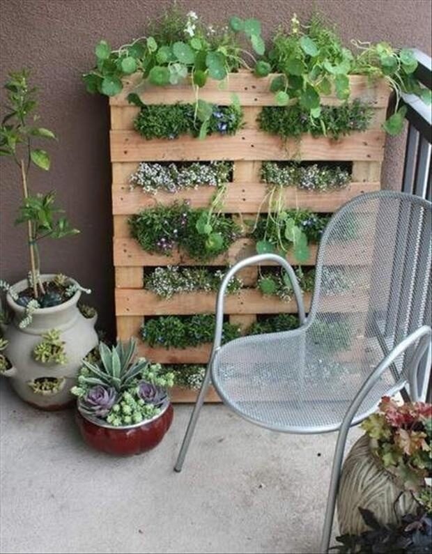 Pallet gardening