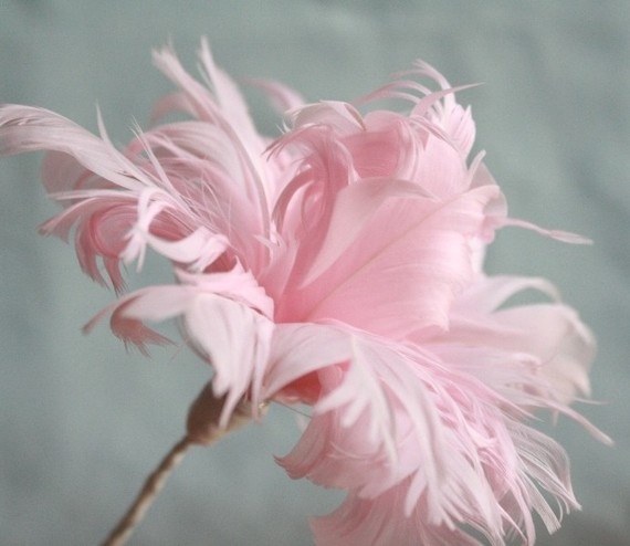 feather flower