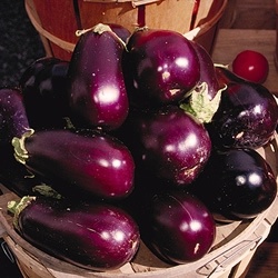 How To Grow Eggplant