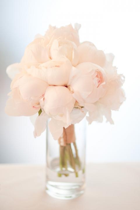blush peonies.