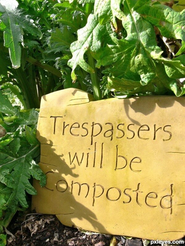 The benefits of composting …  Garden humor!