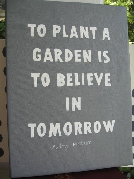 Plant and believe