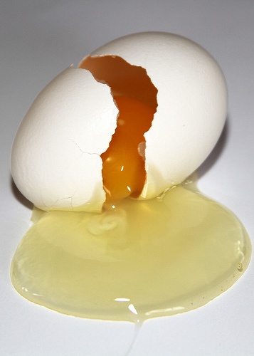 Each time you crack an egg open, instead of tossing the shell into the trash, drop it into an open container that you keep in the fridge. (I’ve always saved my shells, but my friend Susan suggested keeping them in the fridge – works beautifully.) When the container is full, crush the shells into small bits and sprinkle them around the base of your plants. The sharp eggshells will deter slugs, snails, and other bugs from nibbling on your garden and add a touch of calcium to the soil