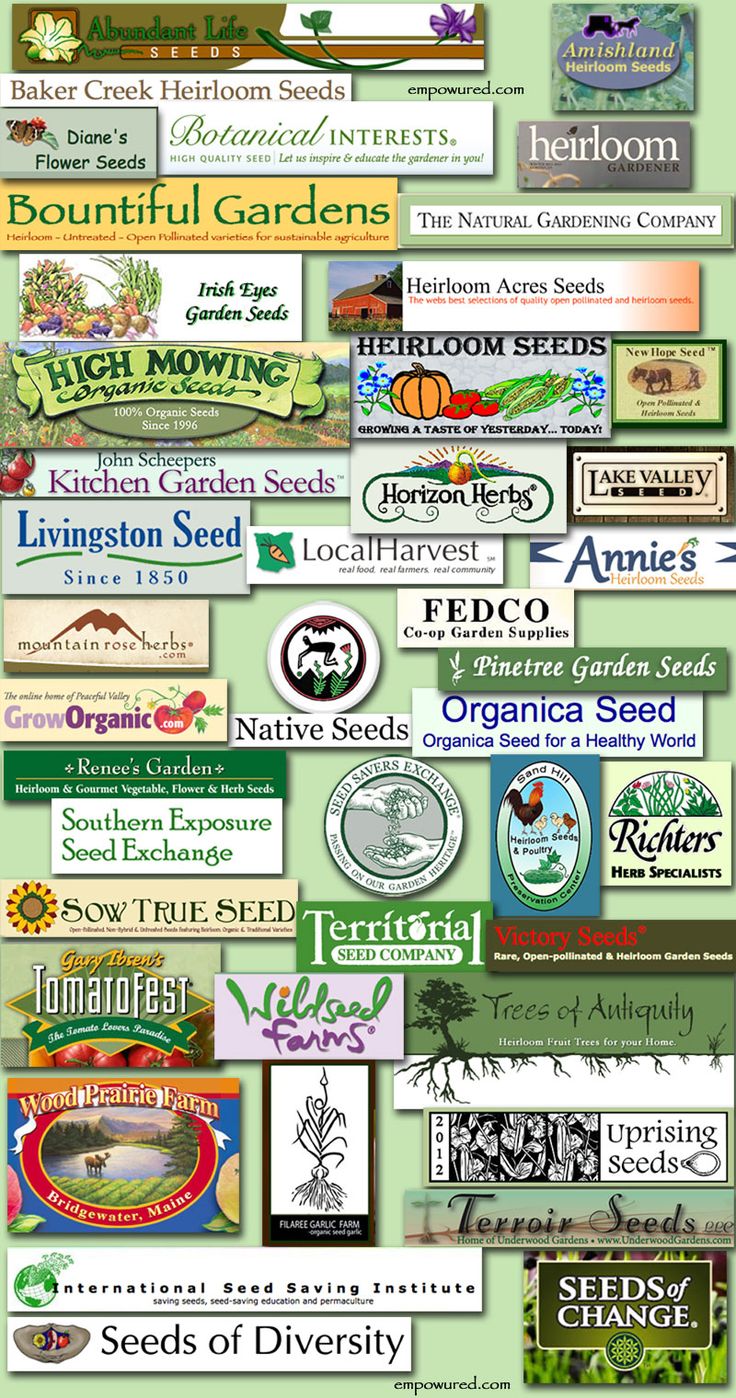 Non- GMO seed companies