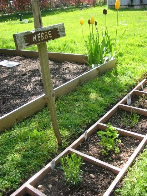 How about growing herbs in a ladder?